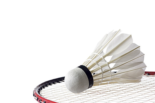 更是她向羽 更是她向羽